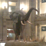 The Museum of Natural History, San Diego, CA