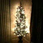 Desiree's home