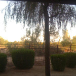 Desiree's home
