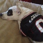 One of Desiree's pet dogs