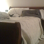 Desiree's bedroom