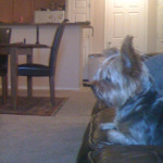 Desiree's home