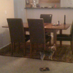 Desiree's home