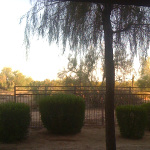 Desiree's home
